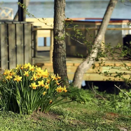 Aeijaelaen Rusti Paratiisisaari *