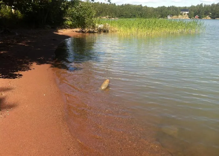 Aeijaelaen Rusti Paratiisisaari * ナーンタリ